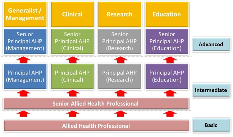 AHP Career Track - Singhealth.png