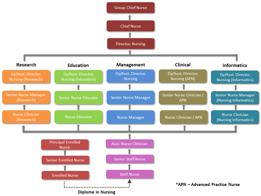 Nursing Career Path - Singhealth.png