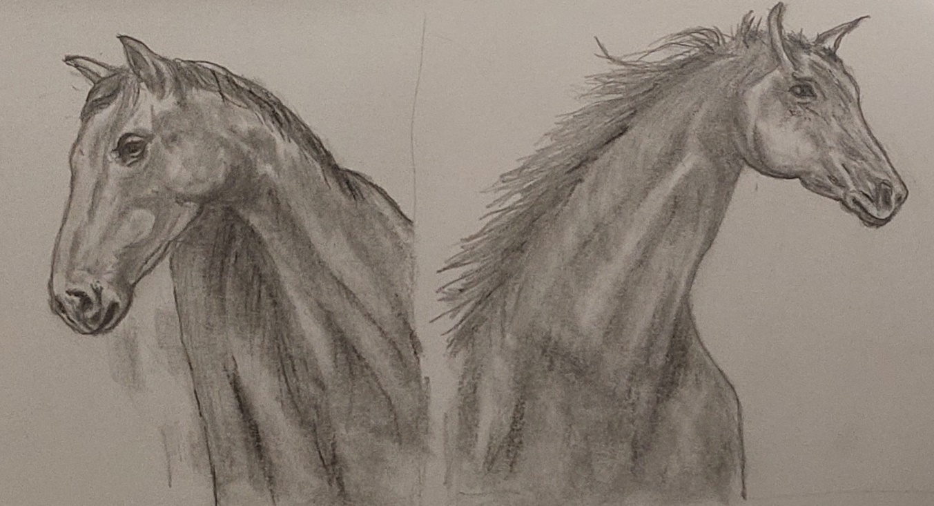 Drawing of horses