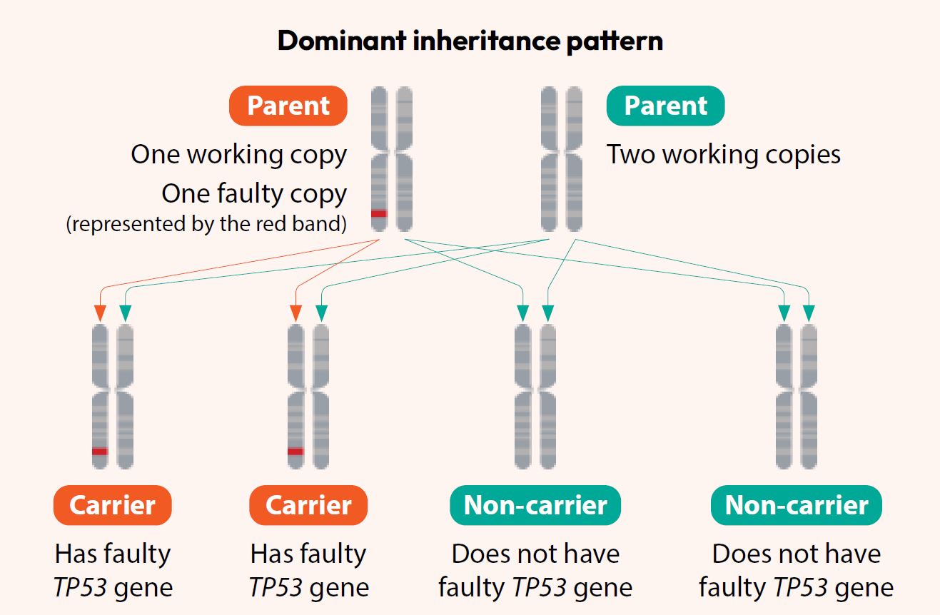 Dominant inheritance pattern