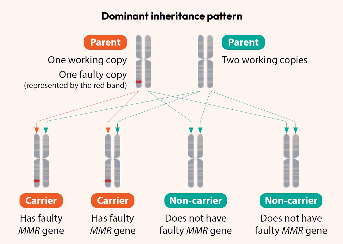Dominant inheritance pattern-Lynch Syndrome