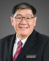 Clin Assoc Prof Ng Kee Chong